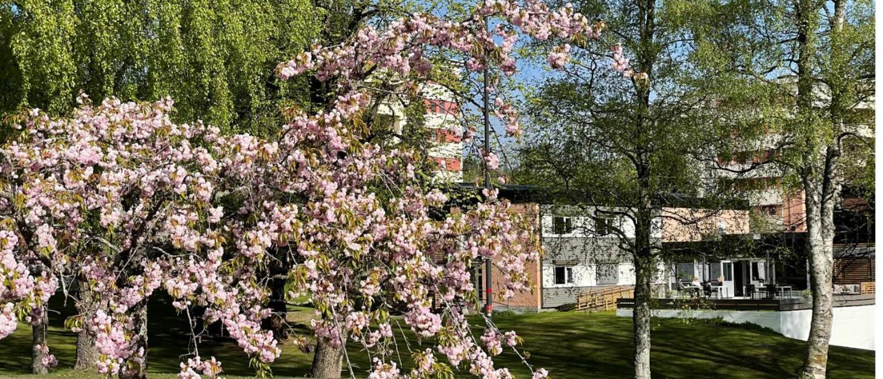 Emma Gjestehus Sandvika Buitenkant foto